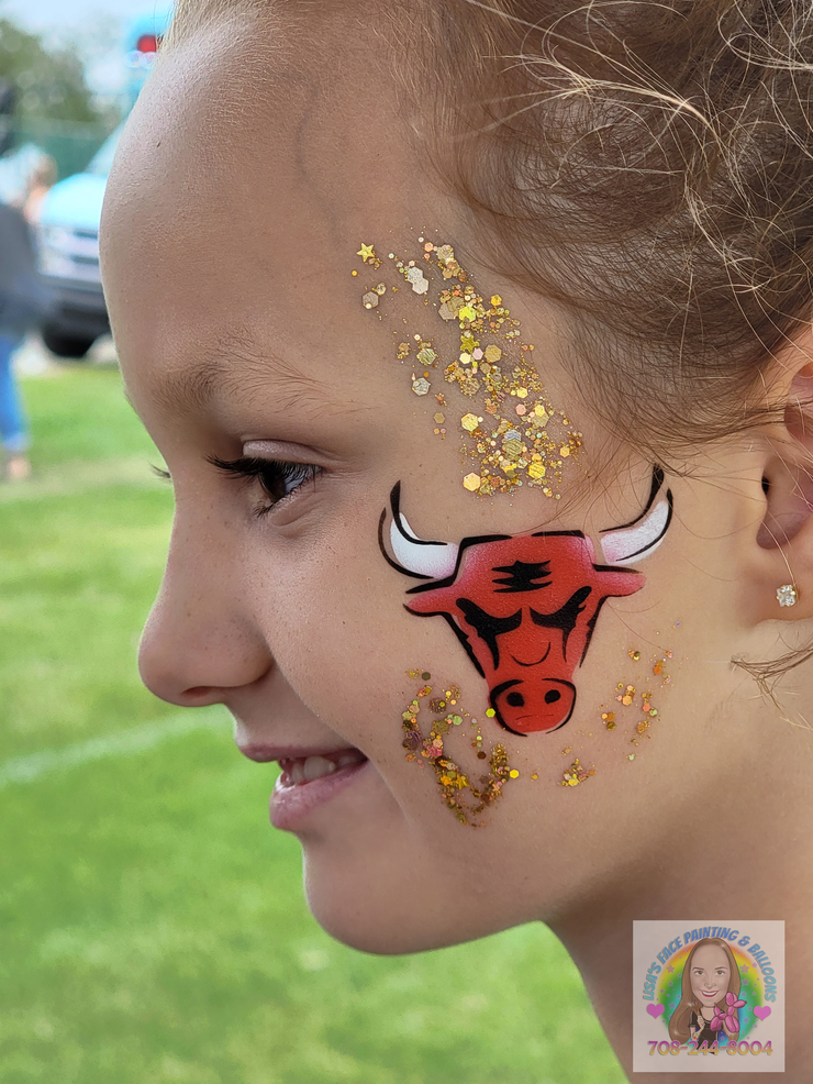 Chicago Bulls airbrushing